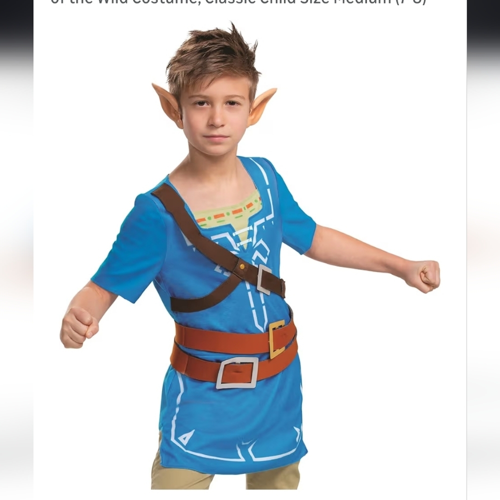 Kids Link From Zelda Costume